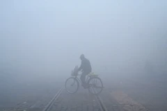 Sương mù dày đặc tại Amritsar, Ấn Độ. (Ảnh: AFP/TTXVN)