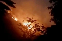 Diện tích bị cháy thiệt hại cây rừng khoảng 0,97ha. Ảnh minh họa. (Nguồn: TTXVN phát)