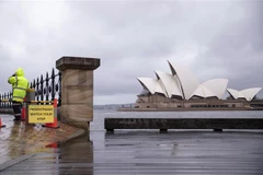 Mưa lớn tại Sydney, Australia, ngày 1/3. (Ảnh: THX/TTXVN)