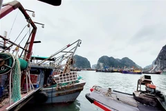 Nhiều tàu cá thua lỗ do chi phí nhiên liệu "phi mã" không đủ chi phí để tiếp tục ra khơi. (Ảnh: Thanh Vân/TTXVN)
