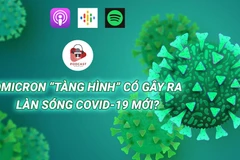 (Nguồn: Vietnam+)