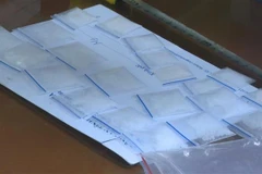 (Ảnh minh họa: Trịnh Duy Hưng/TTXVN)