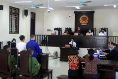 (Ảnh minh họa: Thế Duyệt/TTXVN)