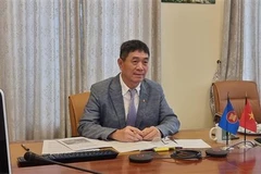 Đại sứ - Trưởng Phái đoàn đại diện thường trực Việt Nam tại ASEAN Nguyễn Hải Bằng. (Ảnh: Phái đoàn Việt Nam tại ASEAN)