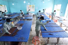 Đan chiếu tre – một hoạt động lao động trị liệu của các học viên tại Cơ sở cai nghiện ma túy tỉnh Lạng Sơn. (Ảnh: Anh Tuấn/TTXVN)