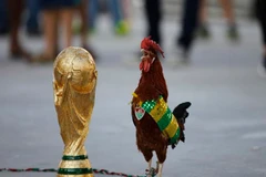 Những hình ảnh đặc sắc nhất về vòng chung kết World Cup