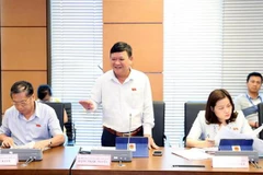 Đại biểu Quốc hội tỉnh Thừa Thiên Huế Đặng Ngọc Nghĩa phát biểu ở tổ. (Ảnh: Trọng Đức/TTXVN)