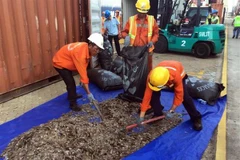 Tang vật vụ án. (Ảnh TTXVN phát)