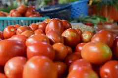 Vì sao nhiều cửa hàng McDonald's tại Ấn Độ bỏ cà chua khỏi thực đơn?