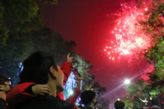 Mãn nhãn màn pháo hoa chào Năm mới Quý Mão 2023 trên khắp cả nước