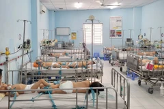 TP.HCM quyết liệt kìm đà tăng của sốt xuất huyết và tay chân miệng