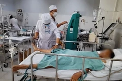 Bạc Liêu: Cứu sống cụ bà 81 tuổi bị ong vò vẽ đốt hơn 70 vết