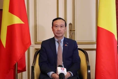 Việt Nam-Bỉ: Tận dụng cơ hội để phát huy tiềm năng hợp tác