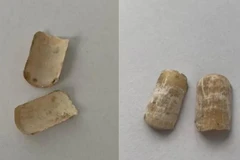 Xác định giới tính nạn nhân vụ một phần thi thể bị đốt ở Bình Dương