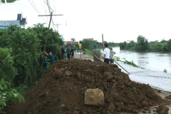 Thanh Hóa: Lại xảy ra sự cố nứt, sạt trượt mặt và thân đê tả sông Càn