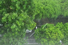 Các khu vực trên cả nước có mưa rào, đề phòng tình trạng ngập úng