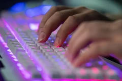 Đức tiếp tục là 'mục tiêu hấp dẫn' đối với tội phạm mạng