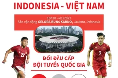 Thông tin đáng chú ý trước trận bán kết AFF Cup Indonesia-Việt Nam