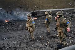 Thổ Nhĩ Kỳ, Ukraine nêu bật tầm quan trọng của việc ngừng bắn