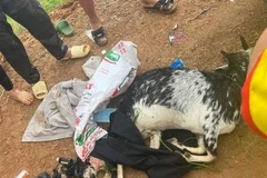 Vụ bắn dê của dân: Khởi tố, tước danh hiệu CAND với 3 công an