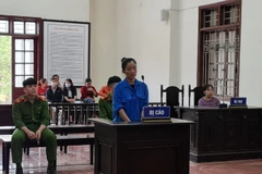 Lừa chạy việc để chiếm đoạt tiền, nữ giáo viên lĩnh án 10 năm tù giam