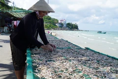 Kiên Giang giữ thương hiệu cho sản phẩm cá khô xứ biển, đảo