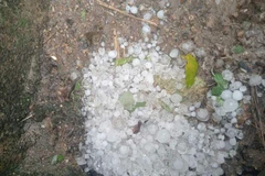 Mưa đá, gió lốc xuất hiện, gây hại tại miền núi Nghệ An