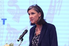 UNDP cam kết hỗ trợ Việt Nam chuyển đổi năng lượng xanh