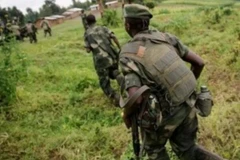 CHDC Congo: Giao tranh vẫn tiếp diễn bất chấp lệnh ngừng bắn