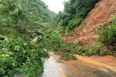 Nâng cao năng lực cảnh báo chi tiết đến điểm có nguy cơ sạt lở