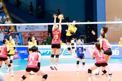 Việt Nam lần đầu vô địch Giải Bóng chuyền các Câu lạc bộ Nữ châu Á