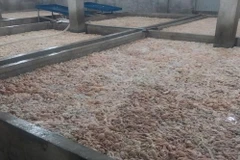 Bắc Ninh tiêu hủy hơn 7 tấn lòng lợn chưa qua sơ chế, bốc mùi hôi thối