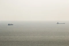 Thêm 2 tàu chở hàng rời cảng Odessa thông qua hành lang tạm thời