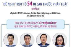 [Infographics] Đề nghị truy tố 54 bị can ở vụ 'chuyến bay giải cứu'