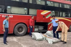 Quảng Ninh: Tiêu huỷ gần 500kg lòng lợn sấy khô ẩm mốc, bốc mùi