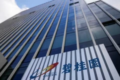 Trung Quốc: Country Garden có thể bị loại khỏi chỉ số Hang Seng