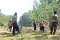 Triển khai các biện pháp ngăn chặn sau vụ voi rừng tấn công người