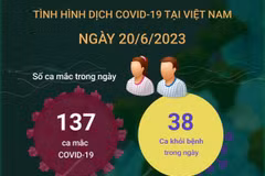 [Infographics] Cập nhật tình hình COVID-19 tại Việt Nam ngày 20/6