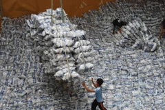 Giá lúa không có biến động mạnh, giá gạo xuất khẩu nới rộng đà tăng