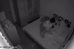 Hà Nội: Khẩn trương điều tra vụ trẻ sơ sinh nghi bị bạo hành