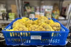 Duy trì chất lượng để đảm bảo chỗ đứng cho quả nhãn tươi tại Nhật Bản