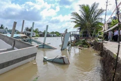 Cần Thơ: Sạt lở nhấn chìm hai căn nhà xuống sông Ô Môn