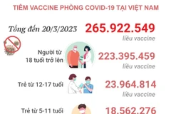 [Infographics] Tình hình tiêm vaccine phòng COVID-19 tại Việt Nam