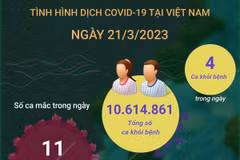 [Infographics] Tình hình dịch bệnh COVID-19 tại Việt Nam ngày 21/3