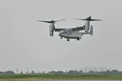 Máy bay quân sự Mỹ chở 20 người rơi khi đang tập trận ở Australia