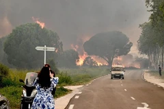 Hơn 3.000 người phải sơ tán khẩn cấp do cháy rừng tại Pháp