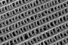 Vảy trên cánh bướm tạo cảm hứng cho một thế hệ vật liệu cách âm mới