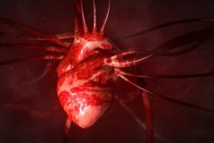 "Hormone tình yêu" có thể chữa lành các con tim tan vỡ