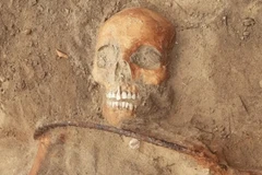 Di cốt nữ "ma cà rồng" được phát hiện tại Ba Lan. (Nguồn: Business Insider)