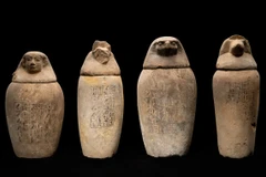 Khai quật bộ công cụ ướp xác lớn nhất từ trước đến nay ở Ai Cập